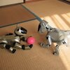 robot mobilny aibo