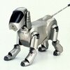 robot mobilny aibo