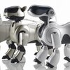 robot mobilny aibo