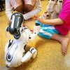 robot mobilny aibo