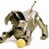 robot mobilny aibo