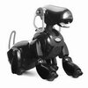 robot mobilny aibo