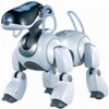 robot mobilny aibo