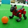 robot mobilny aibo