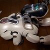 robot mobilny aibo