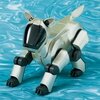 robot mobilny aibo