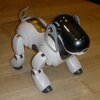 robot mobilny aibo
