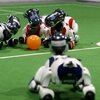 Aibo