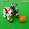 robot mobilny aibo