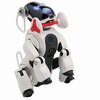 robot mobilny aibo