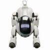 robot mobilny aibo