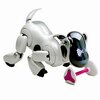 robot mobilny aibo
