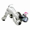 robot mobilny aibo