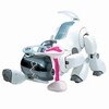 robot mobilny aibo