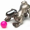 robot mobilny aibo