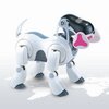 robot mobilny aibo