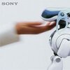 robot mobilny aibo