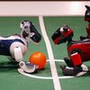 robot mobilny aibo