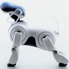robot mobilny aibo
