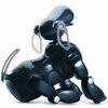 robot mobilny aibo