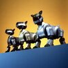robot mobilny aibo