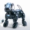 robot mobilny aibo