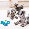 robot mobilny aibo