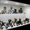 robot mobilny aibo