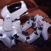 robot mobilny aibo