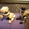 robot mobilny aibo