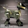 robot mobilny aibo