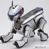 robot mobilny aibo