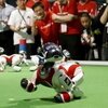 robot pies Aibo