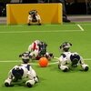 robot pies Aibo