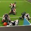 robot pies Aibo