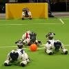 robot pies Aibo