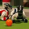 robot pies Aibo