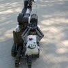 polski robot Expert - PIAP
