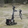polski robot antyterrorystyczny Expert