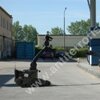 polski robot antyterrorystyczny Expert
