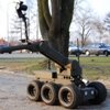 polski robot Ibis