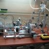 palaczbot