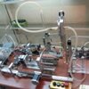 palaczbot