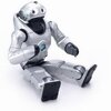 robot mobilny qrio