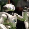 robot mobilny qrio