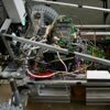 Skarabeusz polski robot