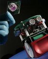 robot sterowany biologicznym mózgiem