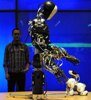 robot BERTI