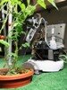 robot ogrodnik z MIT
