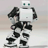 robot plen